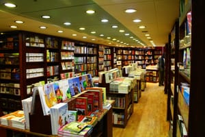 Paris, capitale inattendue du livre arabe : immersion au cœur de ses librairies vivantes