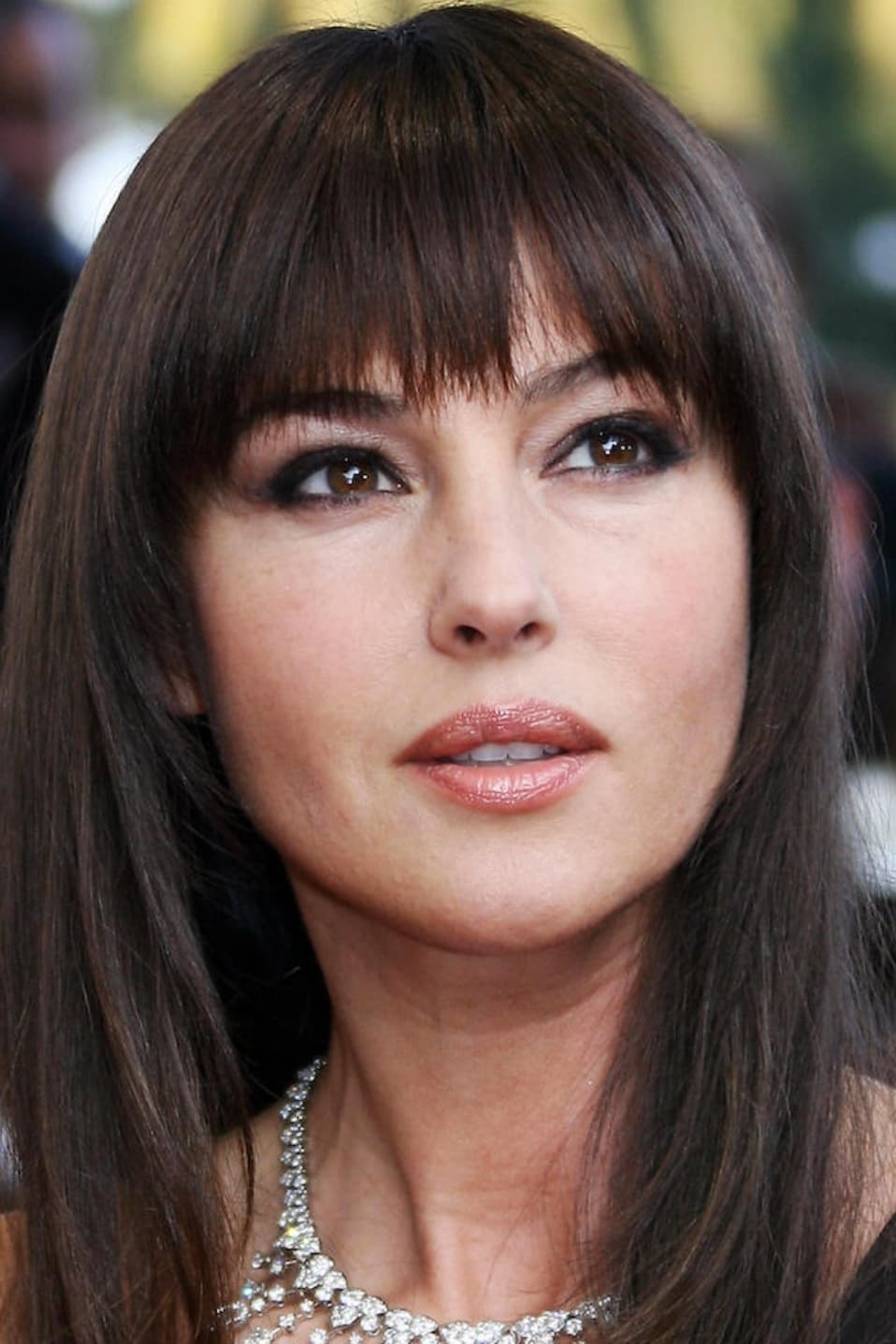 Monica Bellucci : comment un film iranien l’a menée vers la découverte de l’Orient et de sa langue